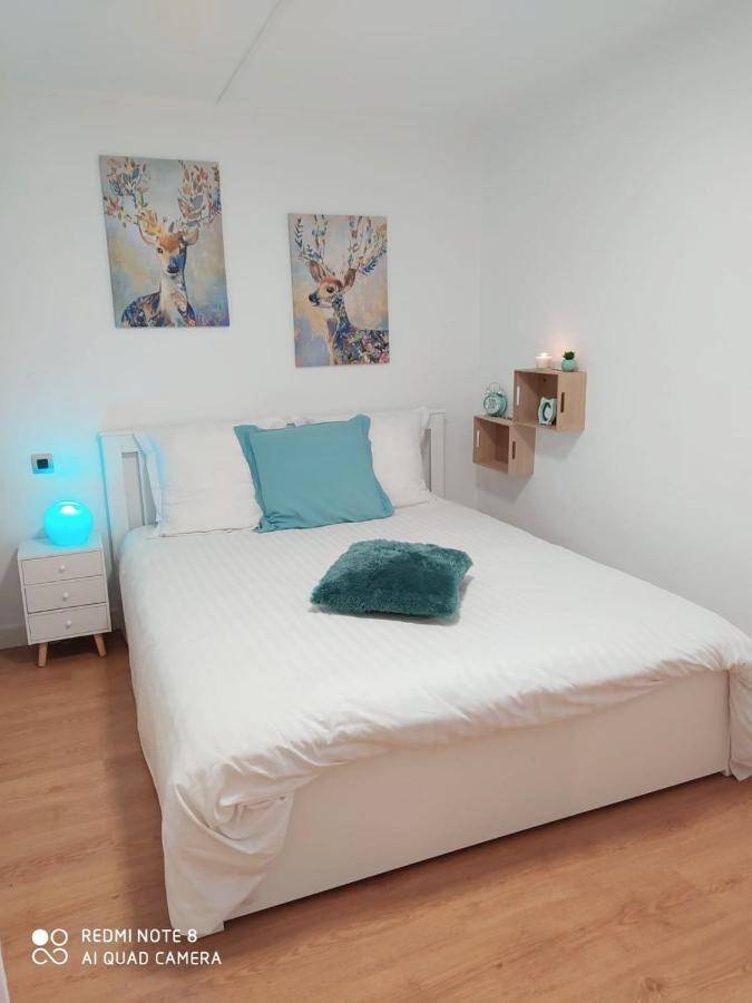 Appartement Rez De Chaussee 2 Chambres Avec Terrasse カンボ・レ・バン エクステリア 写真